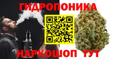 PSILOCYBIN Бердск