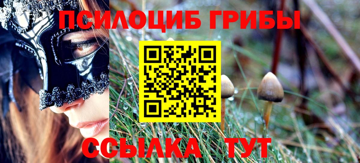 Псилоцибиновые грибы Psilocybe  Вход с VPN  Псилоцибиновые грибы мухоморы  Кызыл 