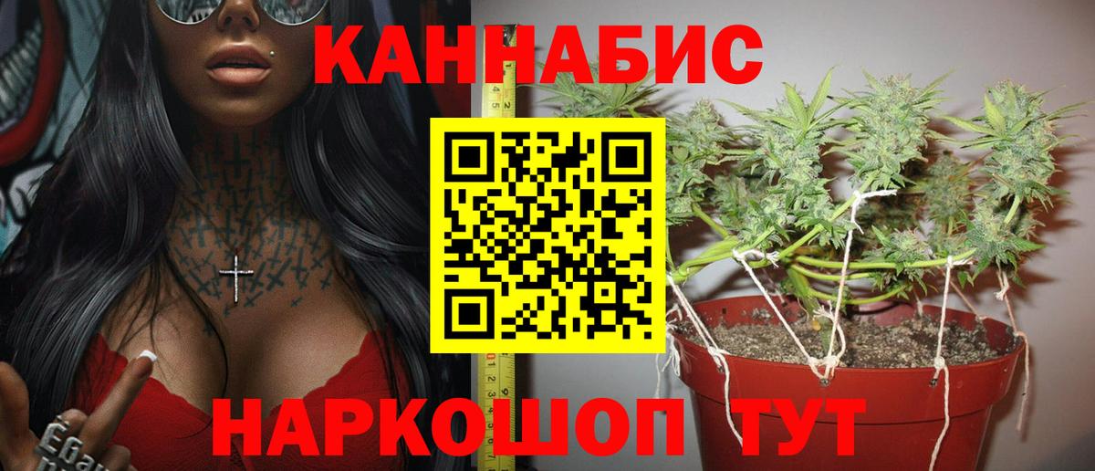 Каннабис планчик  Вход с VPN  Кызыл  Конопля THC 21%  Бошки марихуана Amnesia 